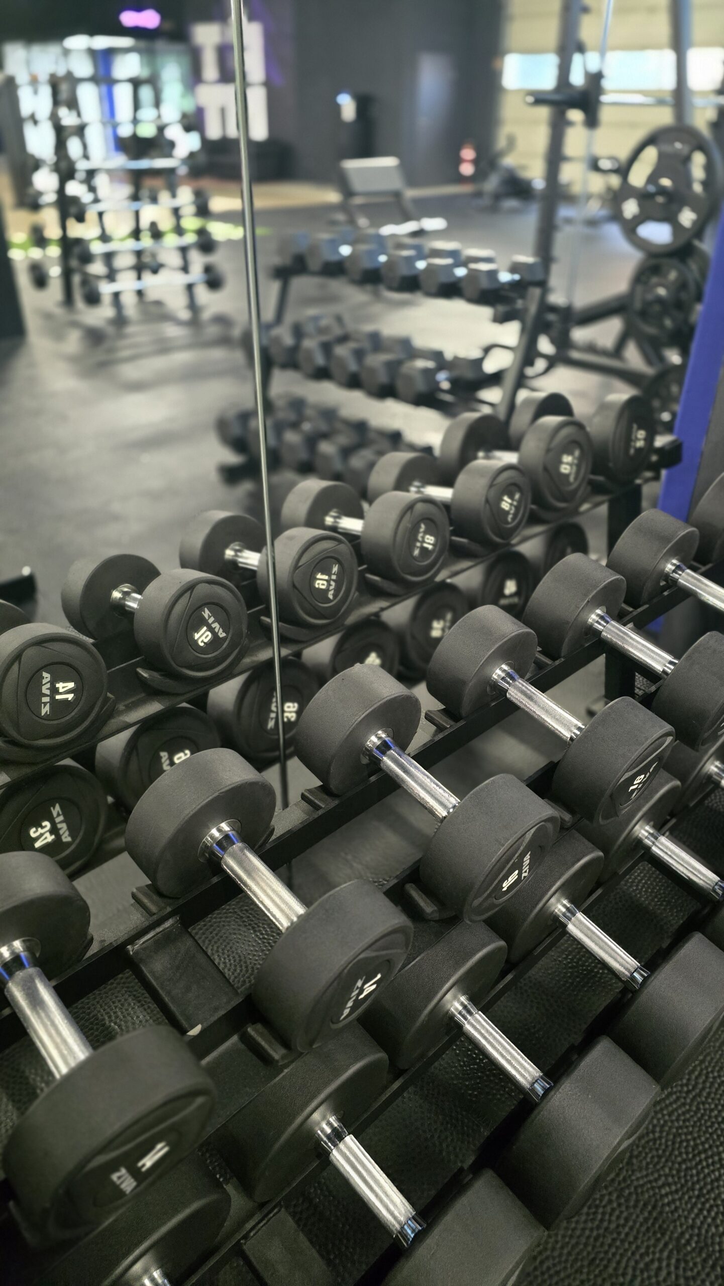 Fitness_Q2